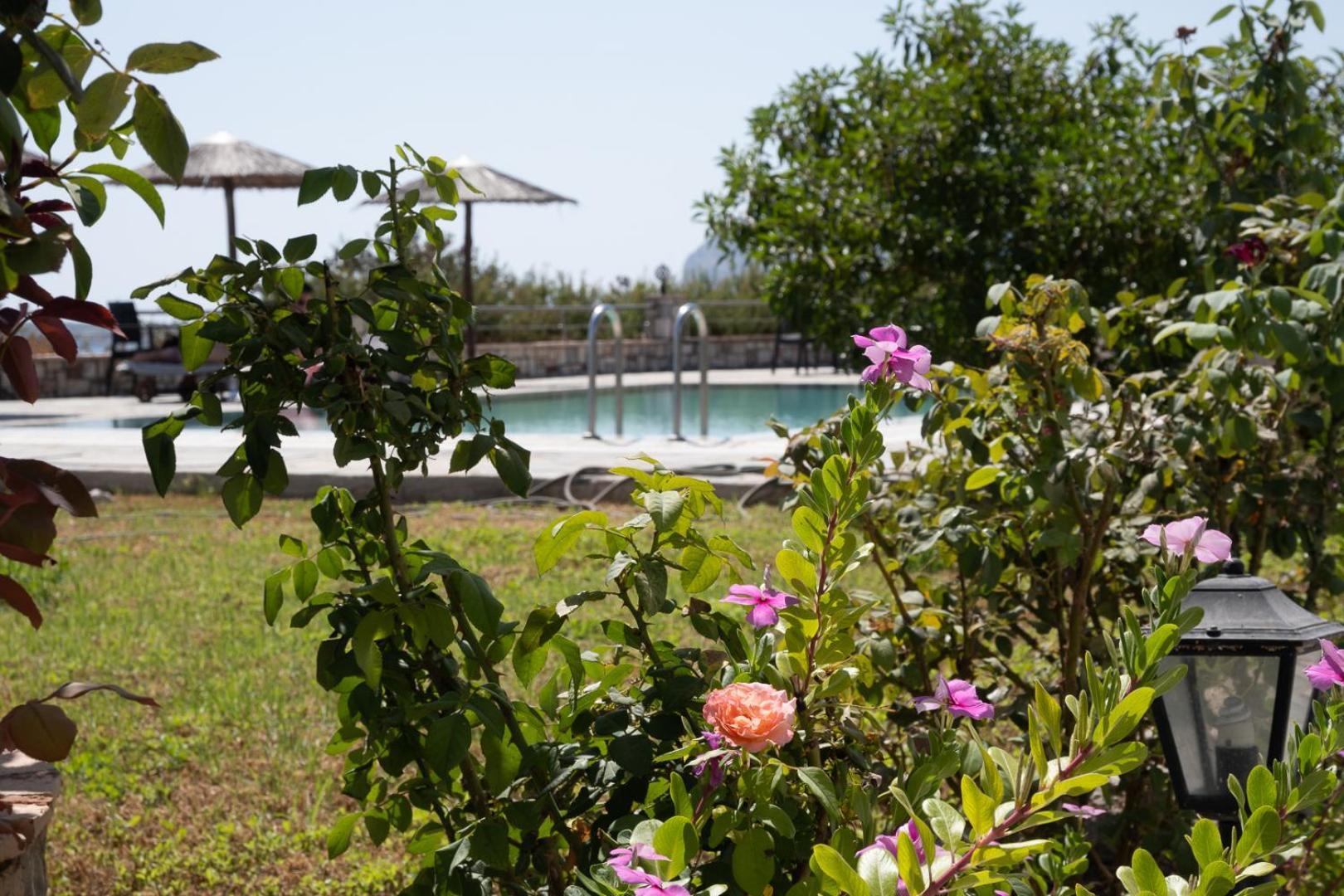Hotel Gardenia Kolymbia